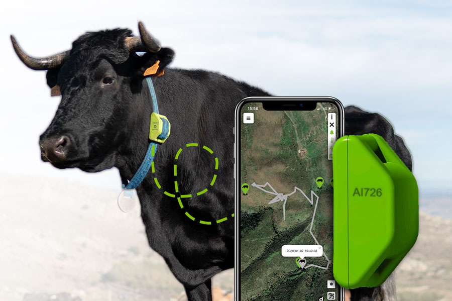 RiyadhSystem-GPS-Animal-Tracking